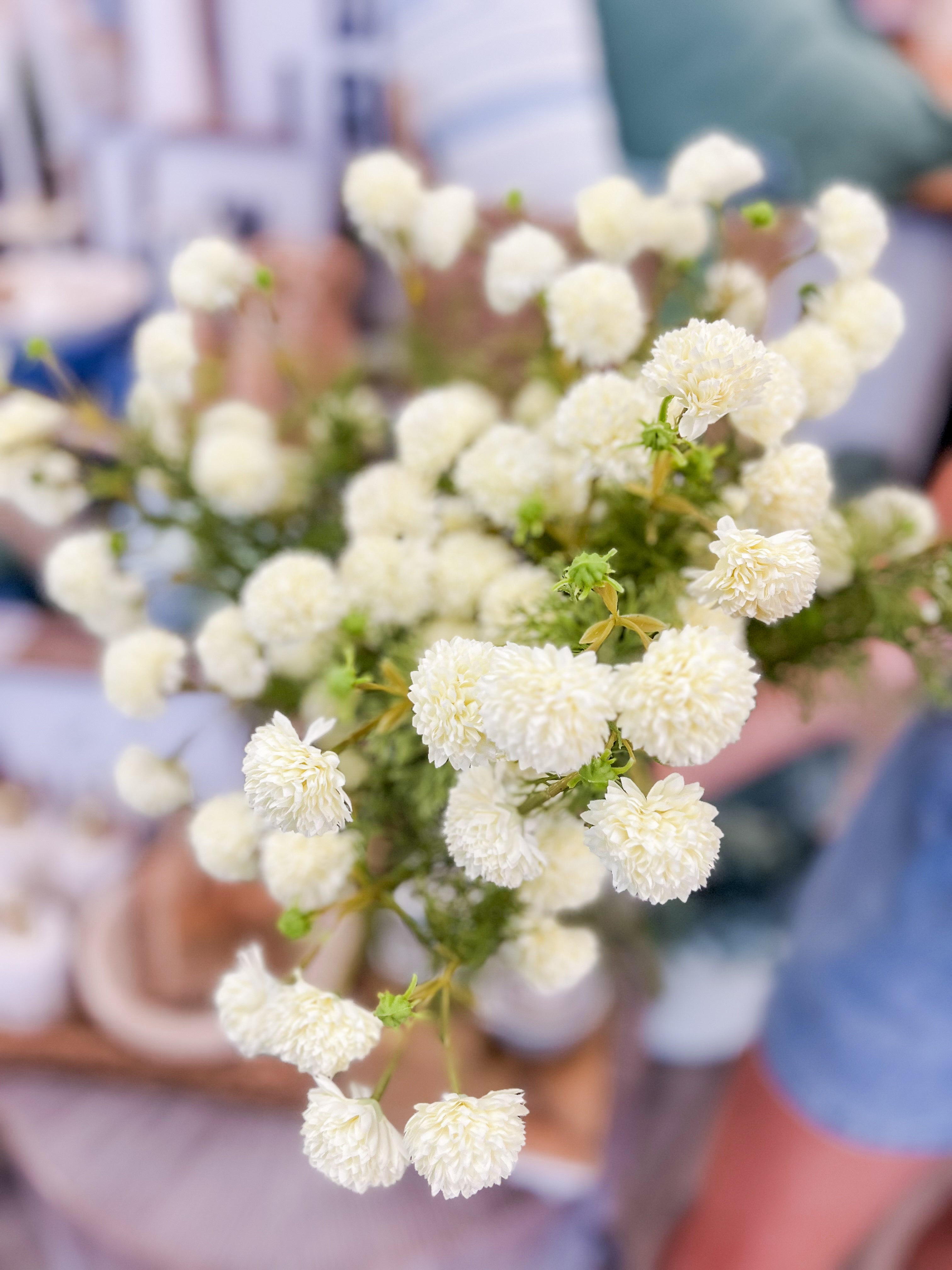 Ivory Chrysanthemum Stem
