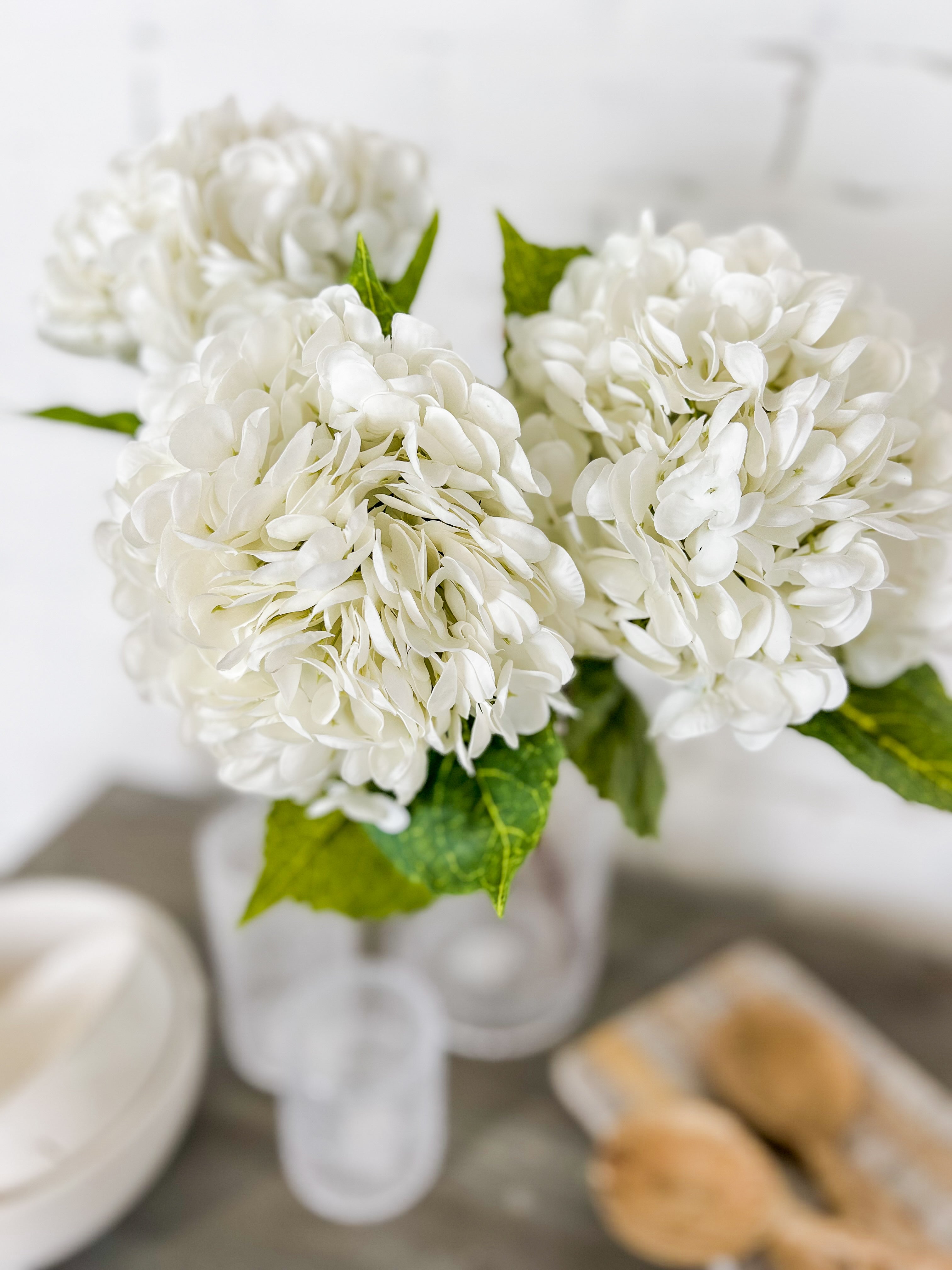 White Hydrangea Stem