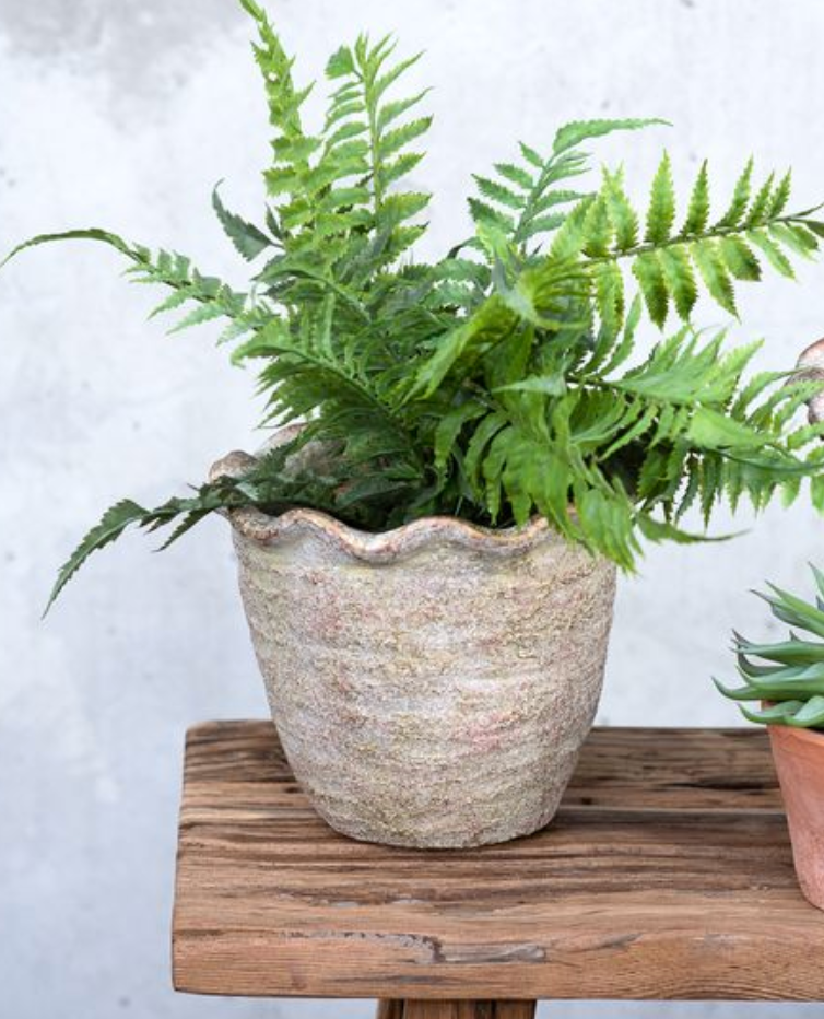 Scalloped Stone Planter – 6"