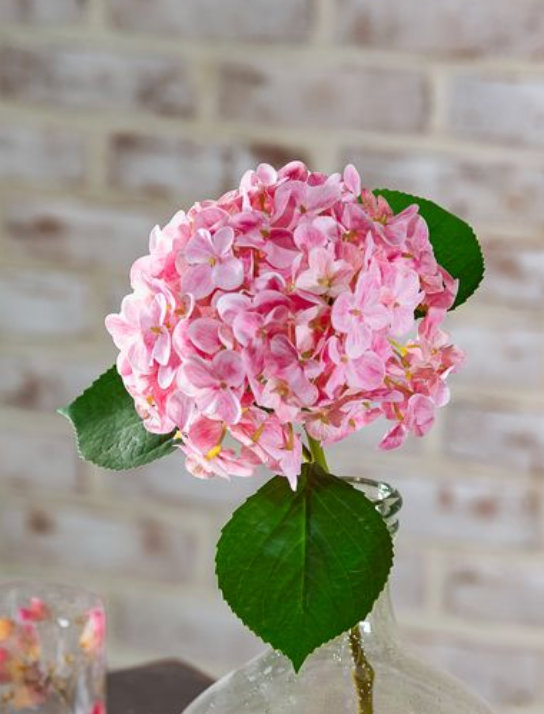Pink Hydrangea Stem