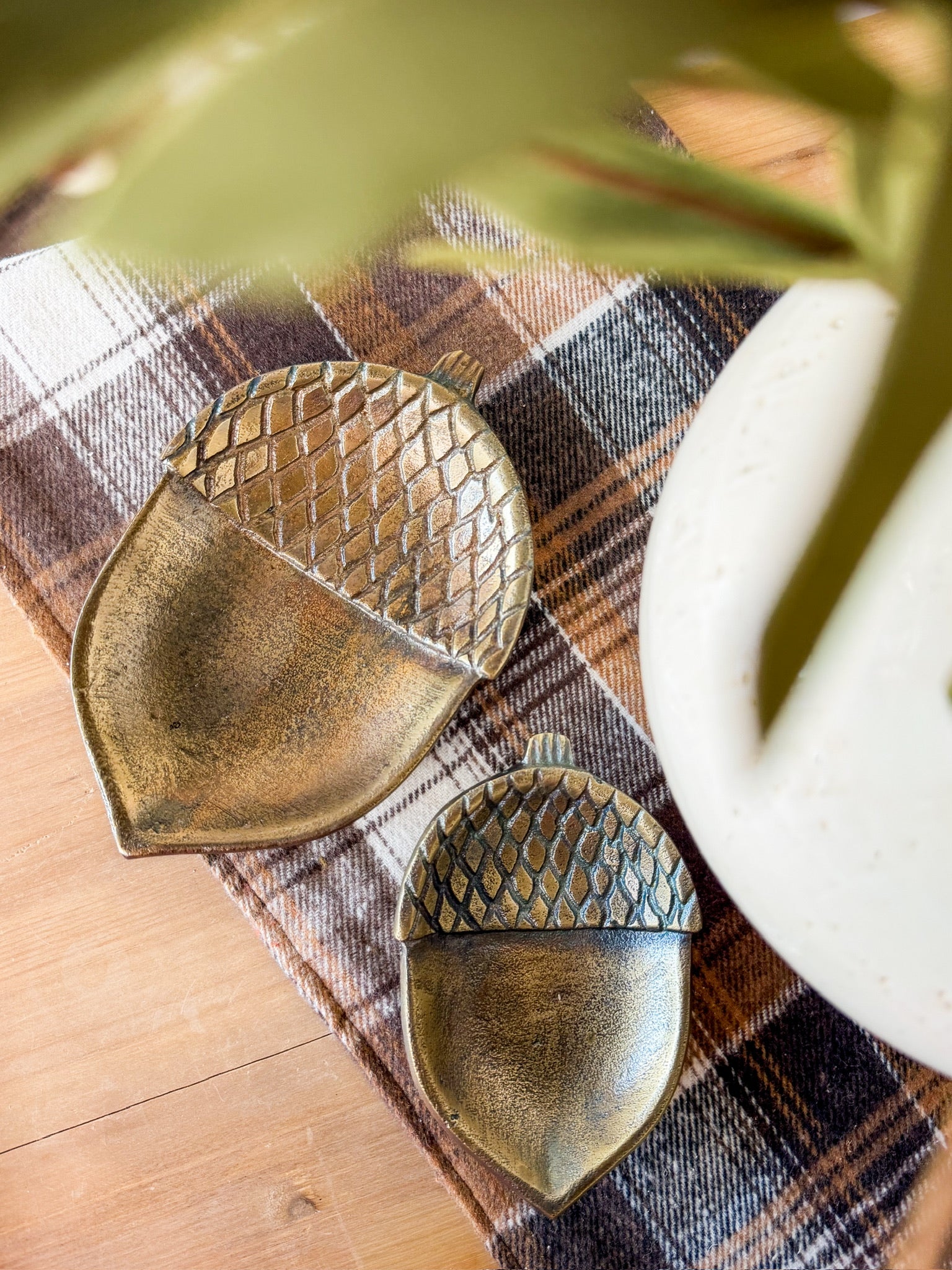 5.5" Brass Acorn Tray