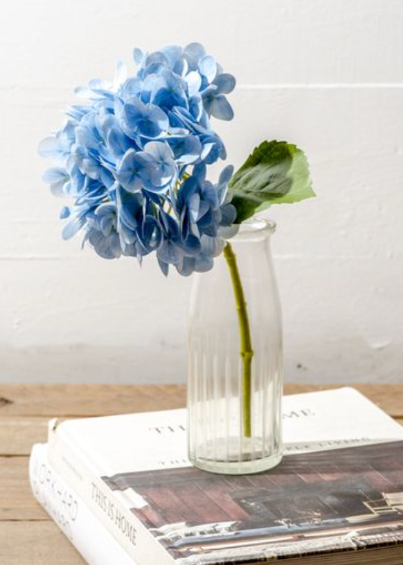 Blue Hydrangea Stem