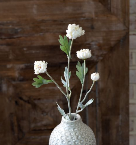 23" White Kalanchoe Stem