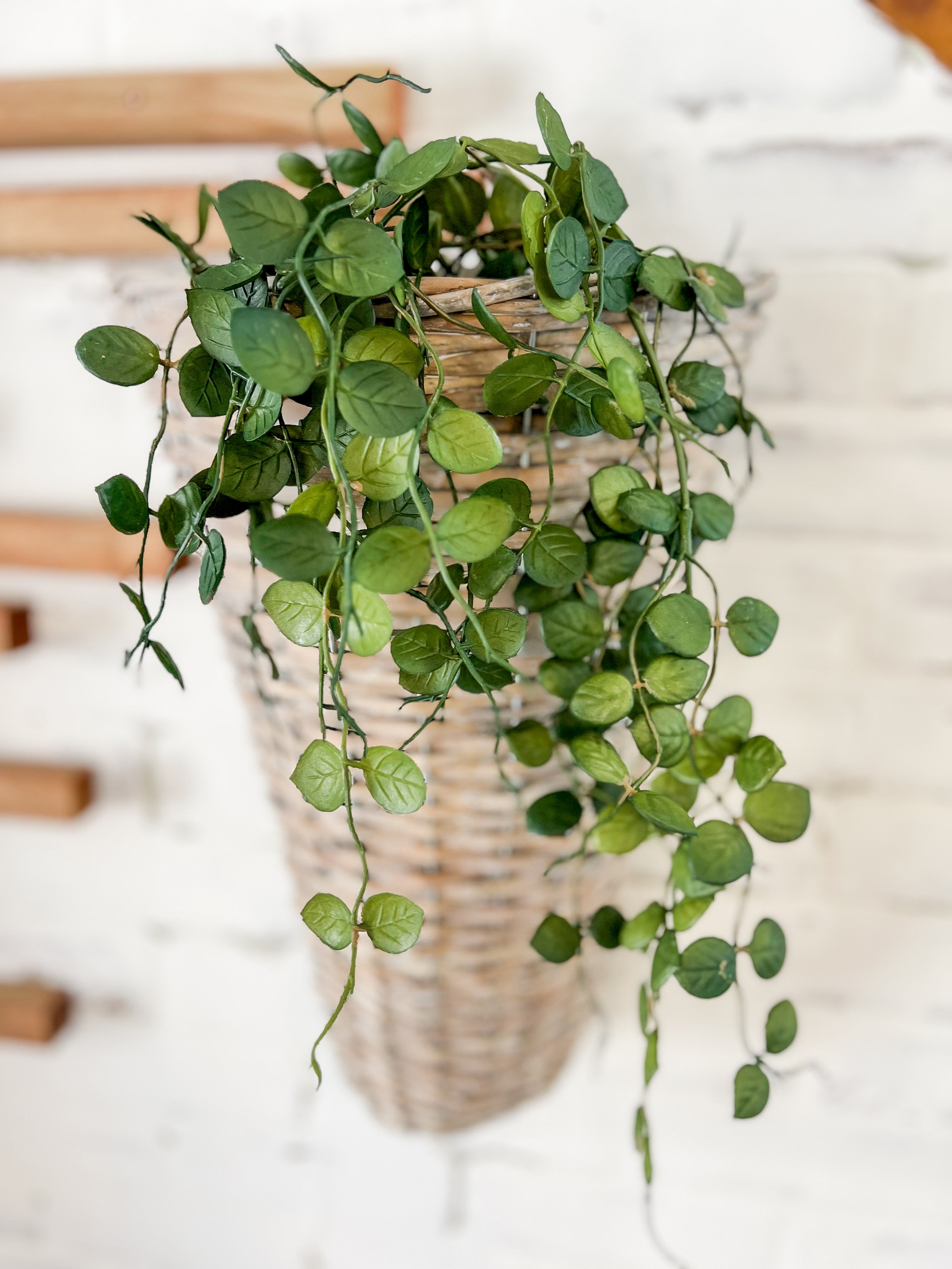 Button Leaf Hanging Spray