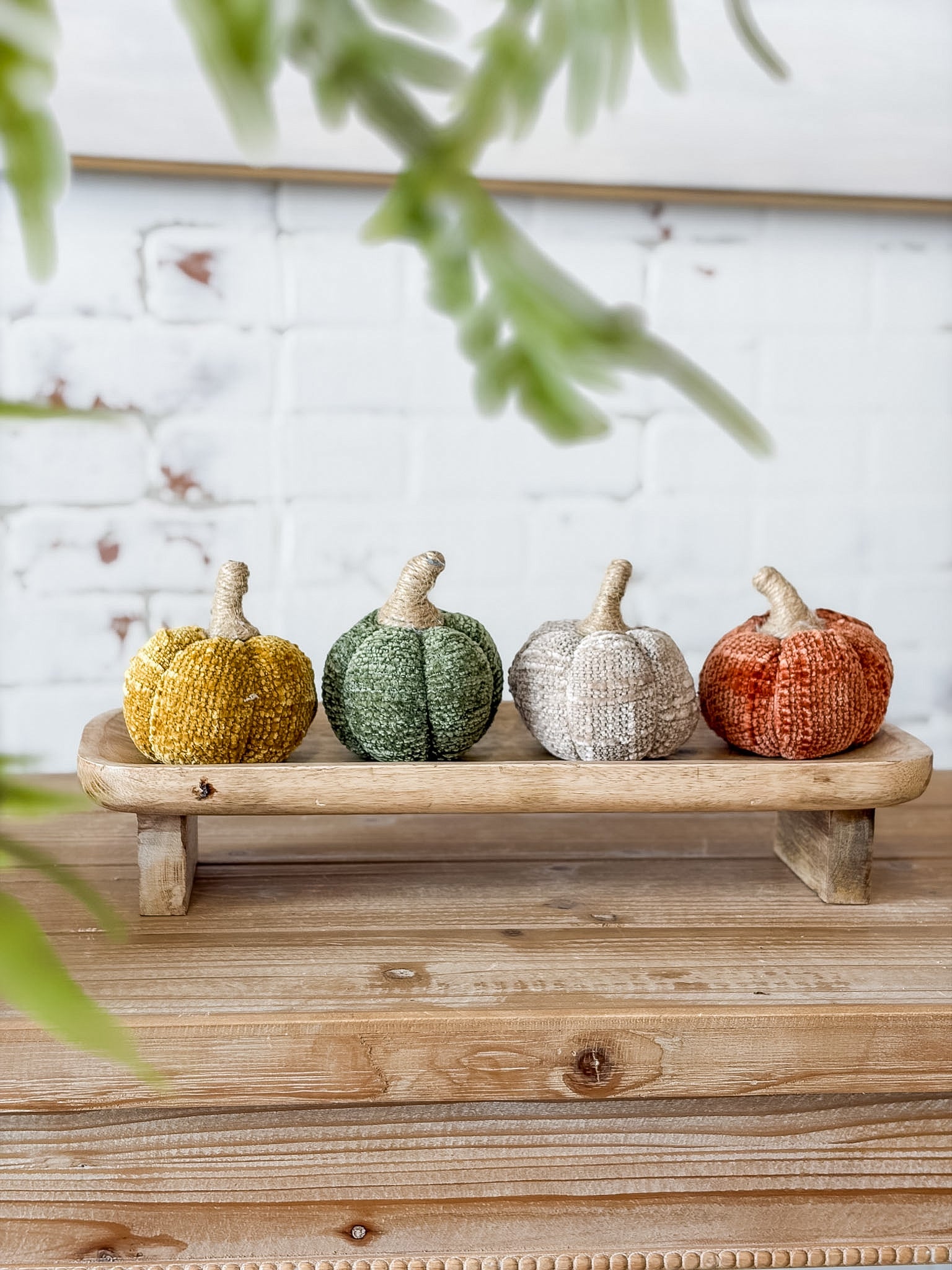 3.5" Pumpkin | Orange, Tan, Green, Mustard