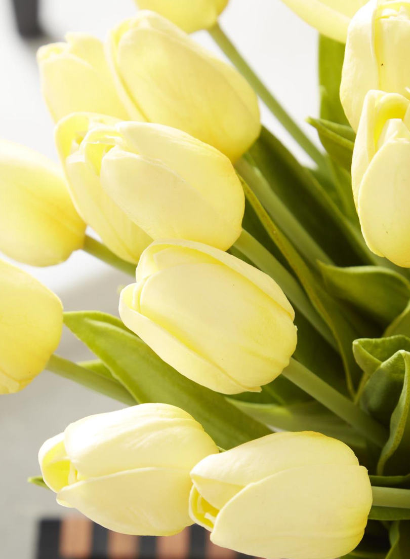 13" Light Yellow Real Touch Tulip Bundle