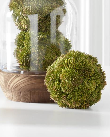 4" Green Sedum Ball