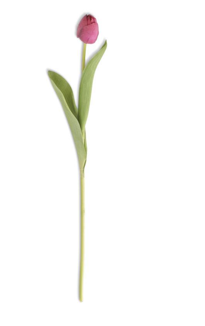 26.5" Fuchsia Silk Touch Single Tulip Stem