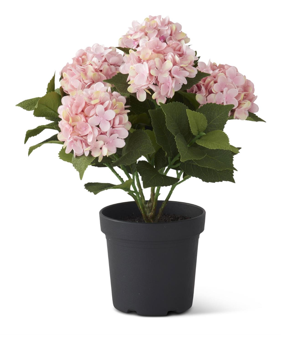 18.5" Bloom Pink Potted Hydrangea
