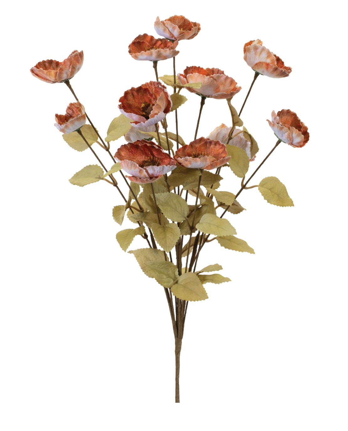 21" Anemone Spray