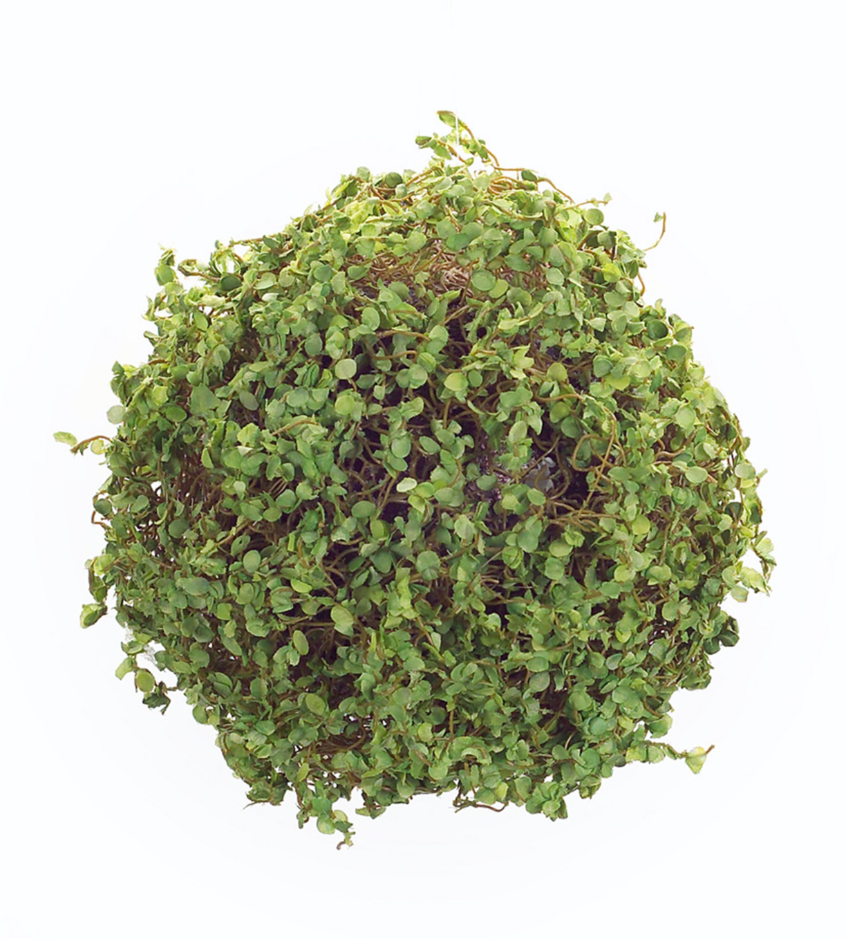 7" Moss Orb