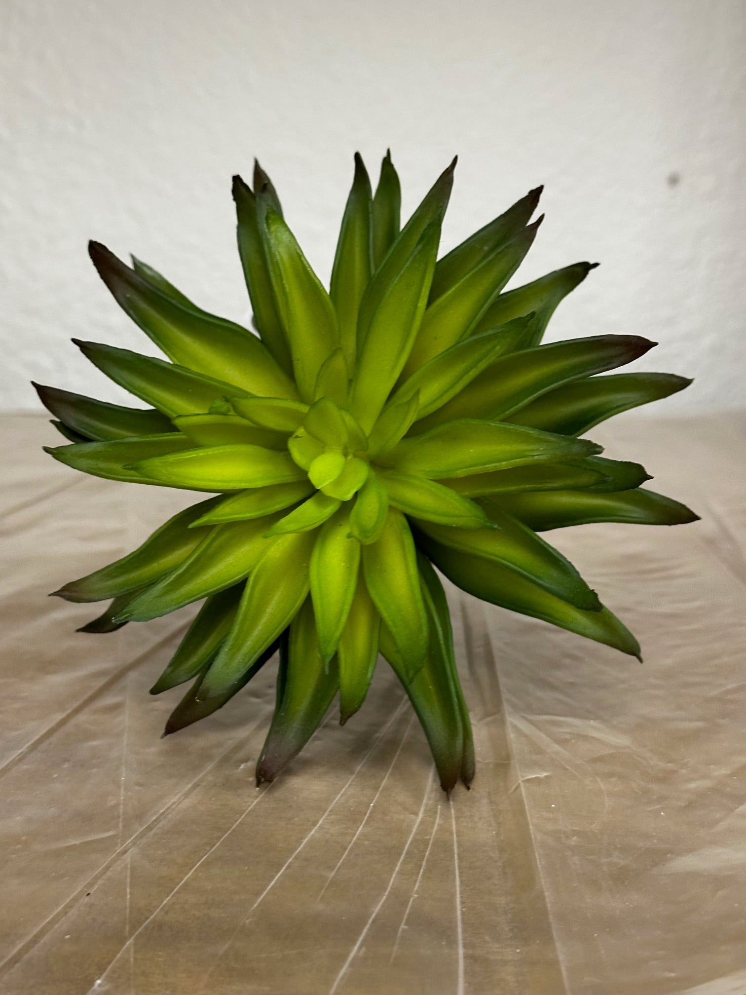 6" Real Touch Aeonium Pick