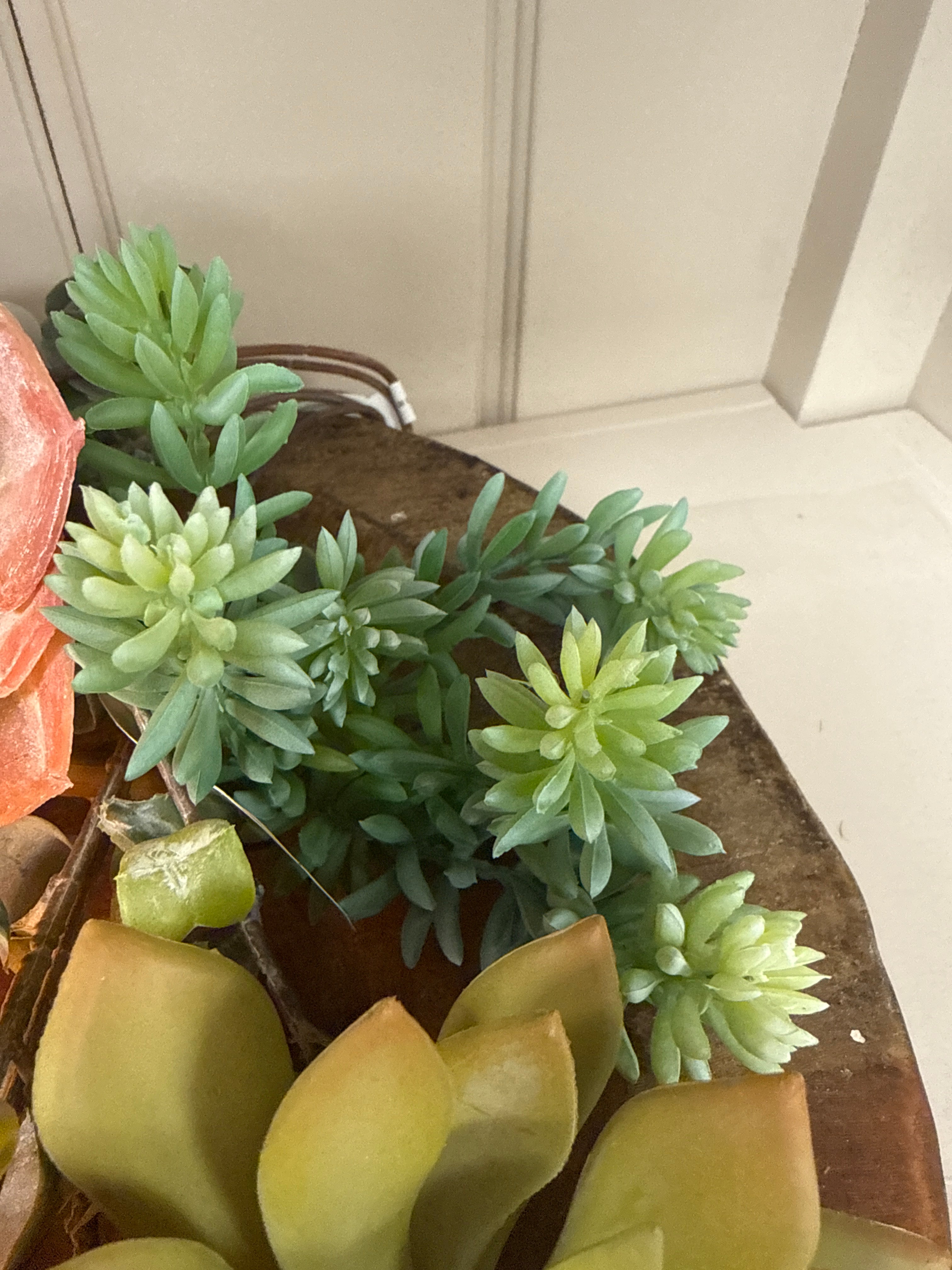 7" Soft Sedum Pick