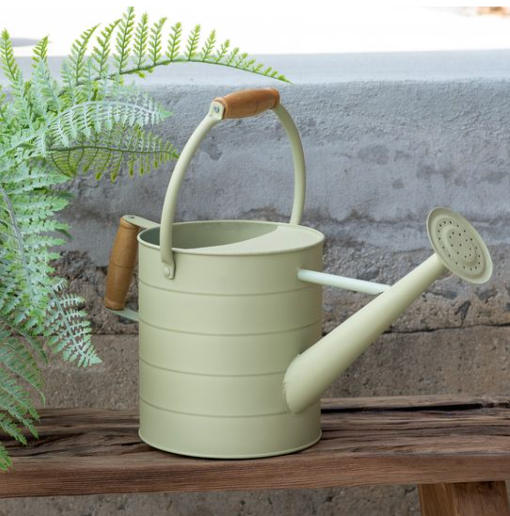 16.5" Spring Green Watering Can