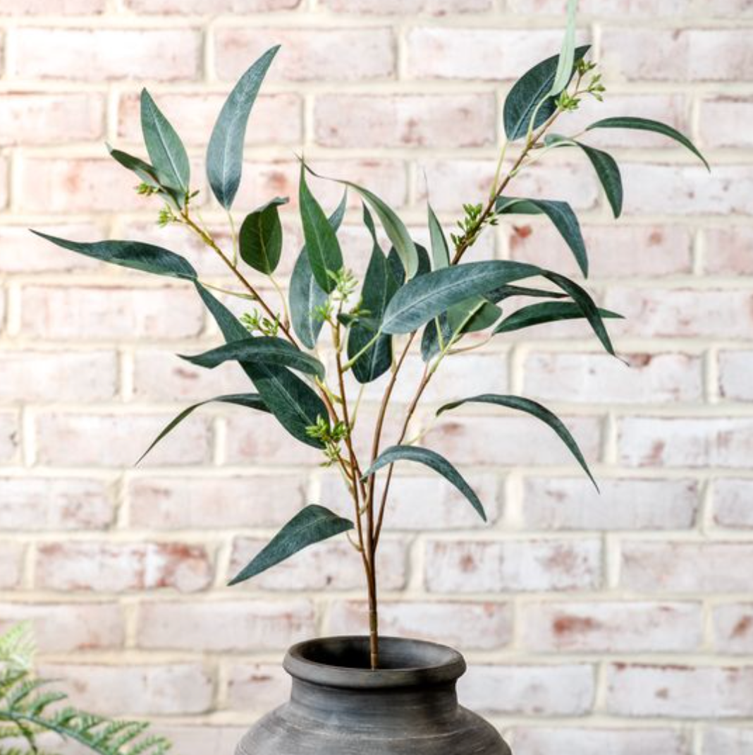 33" Eucalyptus + Fruit Stem