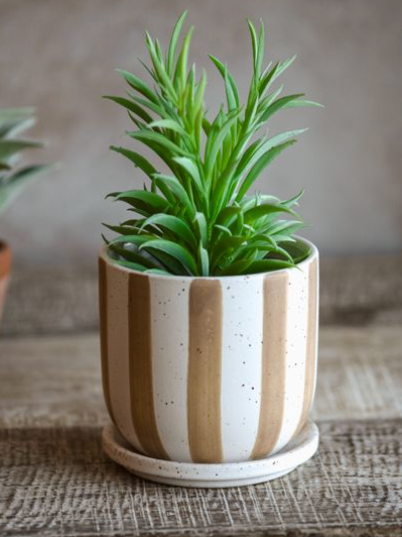 4.5" Matte Brown Stripe Ceramic Planter