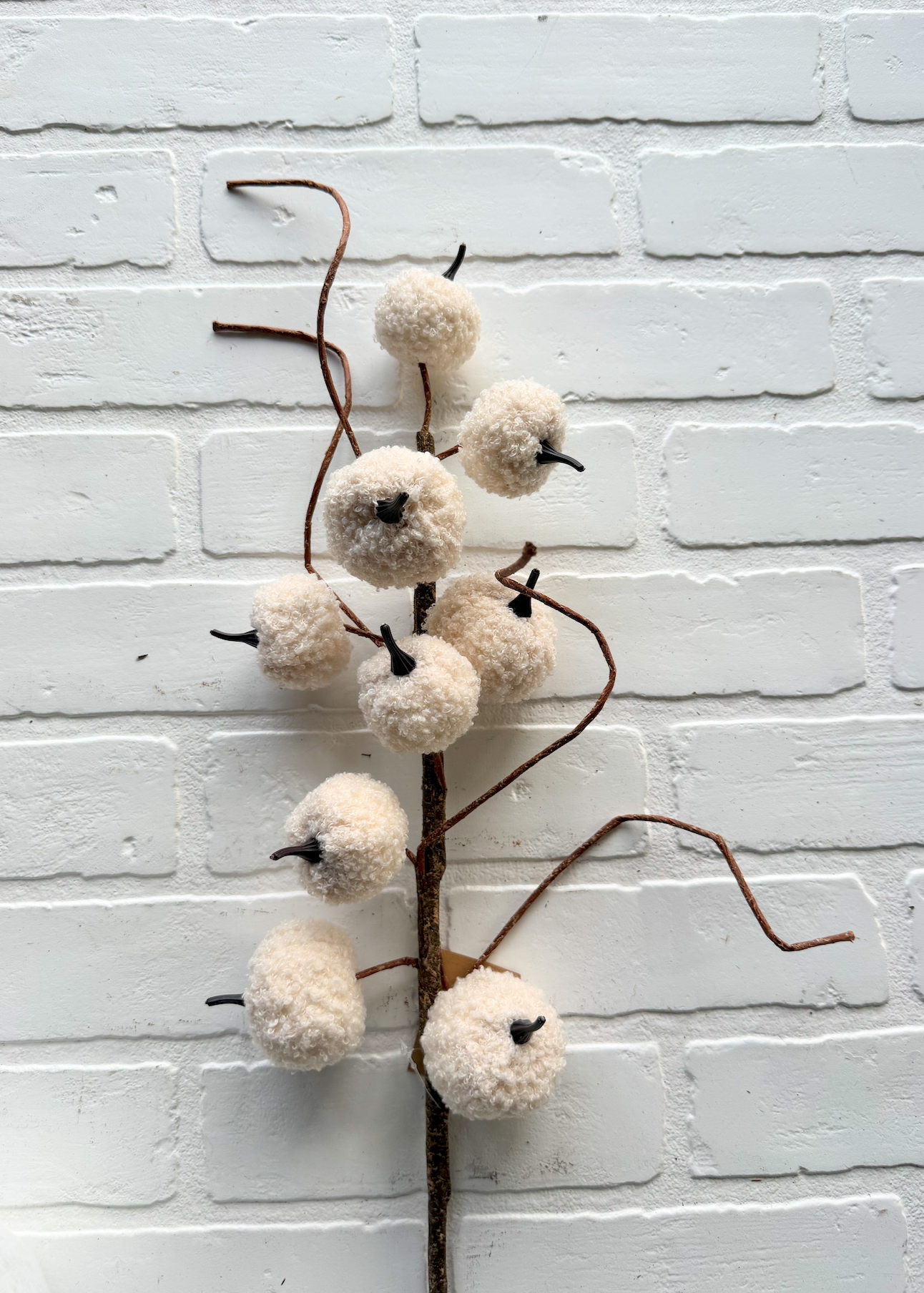 Sherpa Pumpkin Branch - Cream