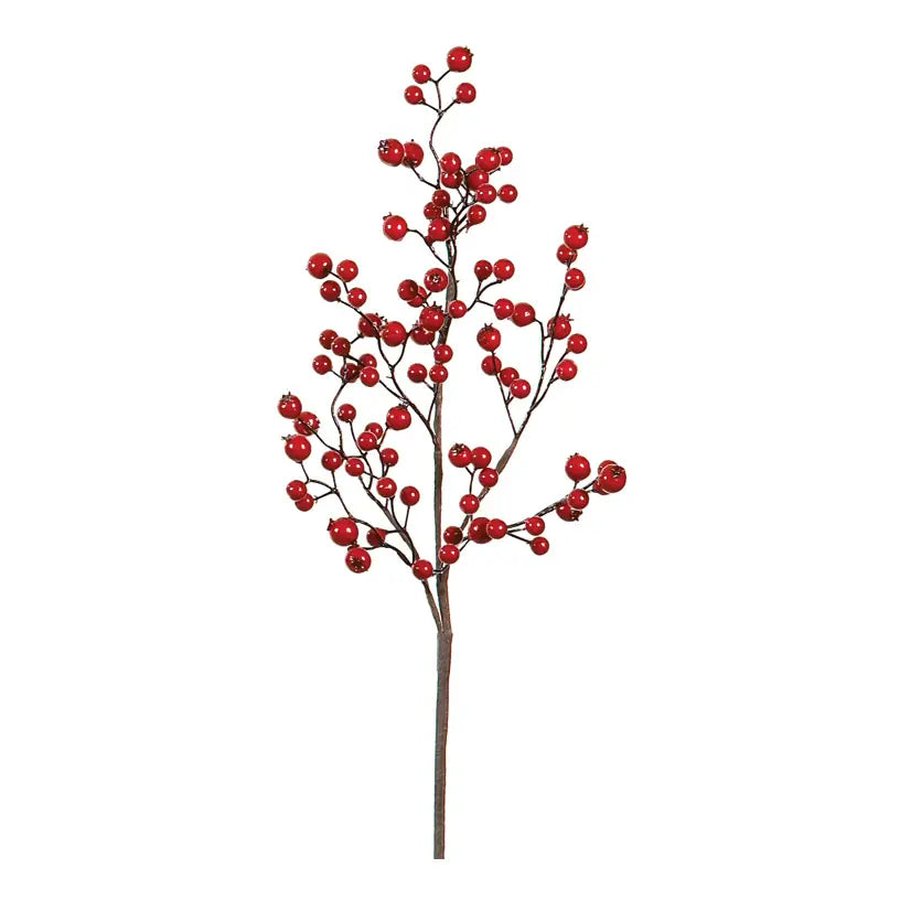 Red Water Berry Pick