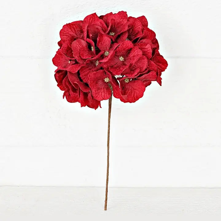 Red Hydrangea