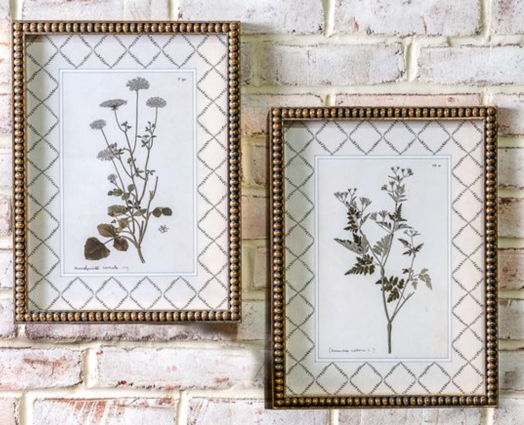 2 Asst Gold Framed Plant Prints