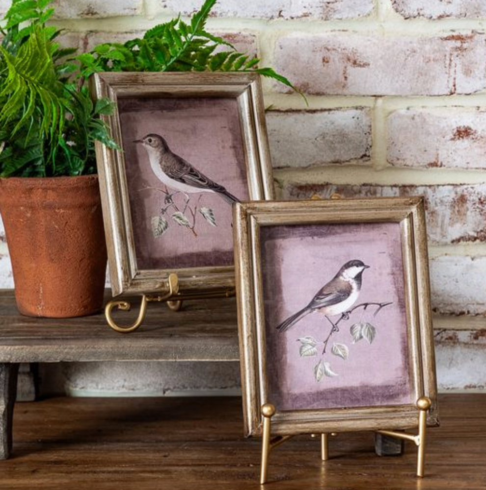 2 Asst 5 X 7 Bird Framed Wall Art