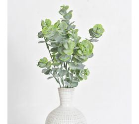 13.8 Eucalyptus