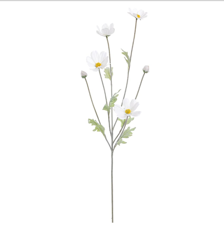 24.5 Cosmos Spray Wh
