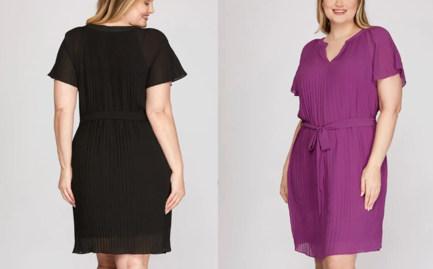 Short Flounce Sleeve Woven Pleated Dress With Waist Sash