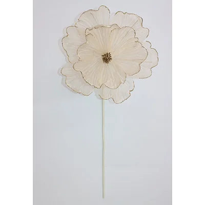 Sheer Magnolia Stem