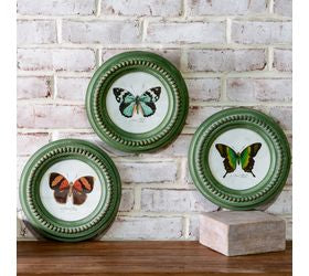 *inner* 3 Asst Gr Frame Butterfly Prints