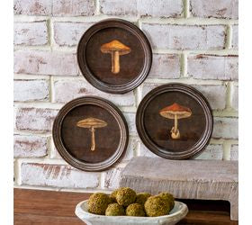 3 Asst Rd. Framed Mushroom Prints