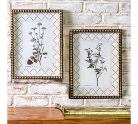 2 Asst Gold Framed Plant Prints