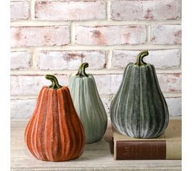 3 Asst 8h Velvet Gourds