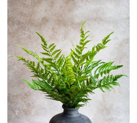 *inner* 19 Fern Bush Stem
