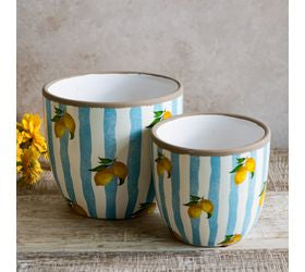 FINAL SALE-Lt Blue Stripe Lemon Planters