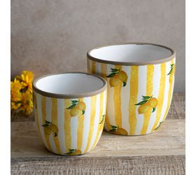 *FINAL SALE* Yellow Stripe Lemon Planters