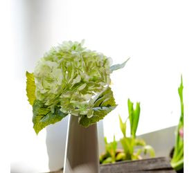 *inner* Green Hydrangea Stem