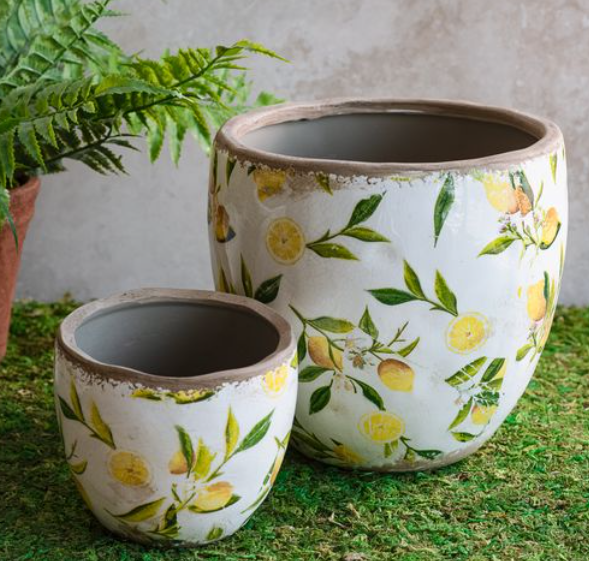 Lemon Planters