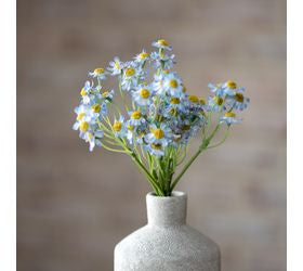 11 Mini Blue Daisy Bunch