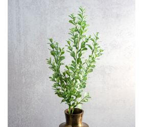 *inner* 26 Eucalyptus Bunch