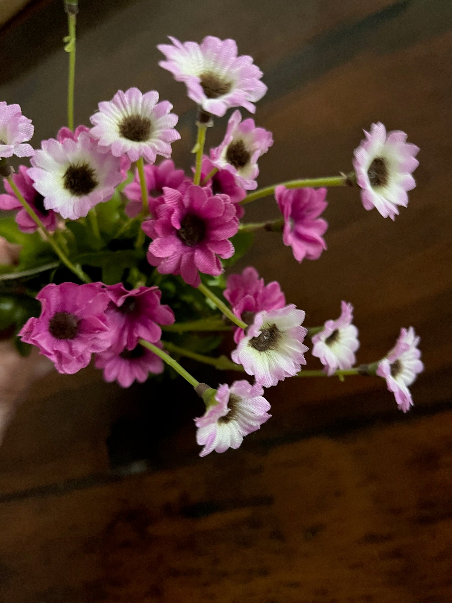 Pink 10.5" daisy Bush X5 Pu/tt