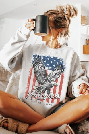 *FINAL SALE* American Flag Eagle Graphic Sweatshirt