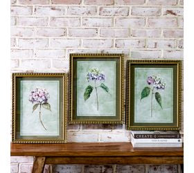 Hydrangea Prints, 3 Assorted