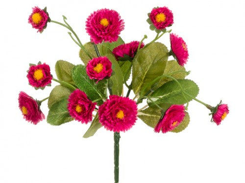 Calendula Bush