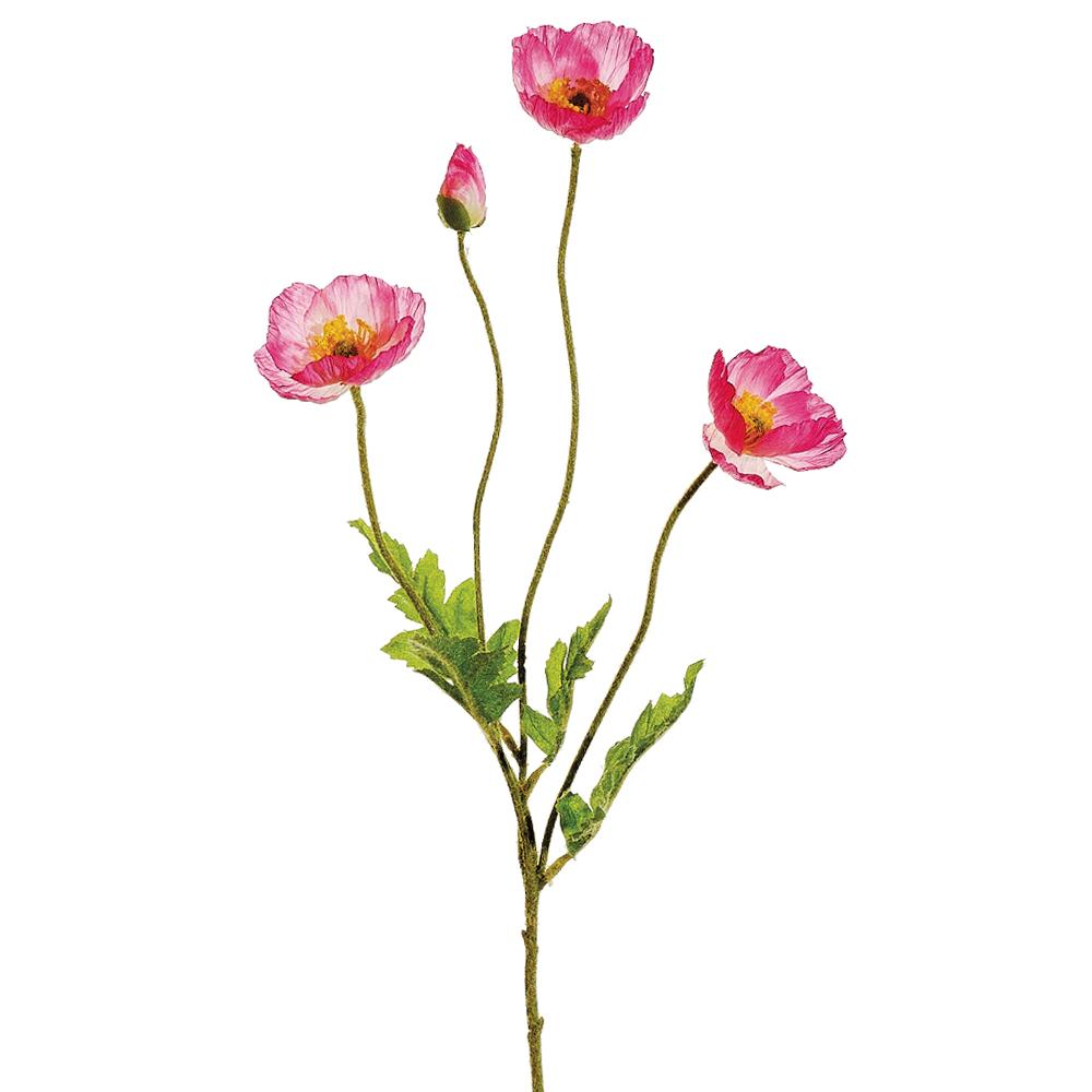 Poppy Spray Pk