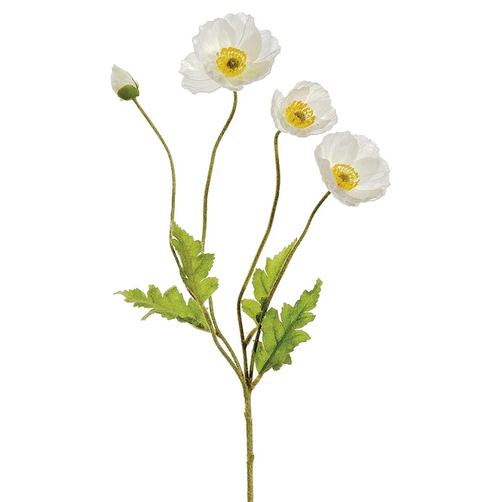 Poppy Spray Wh