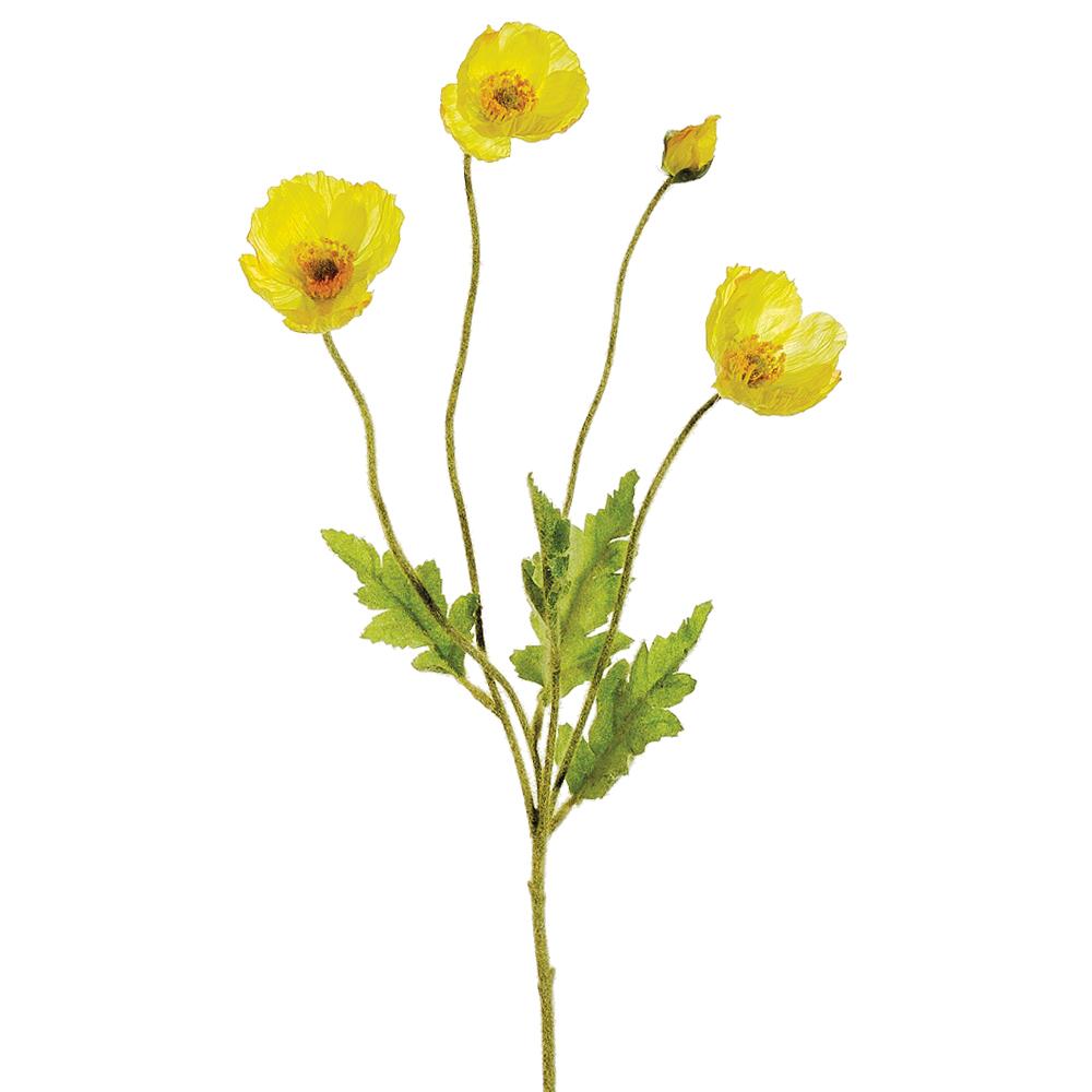Poppy Spray Ye