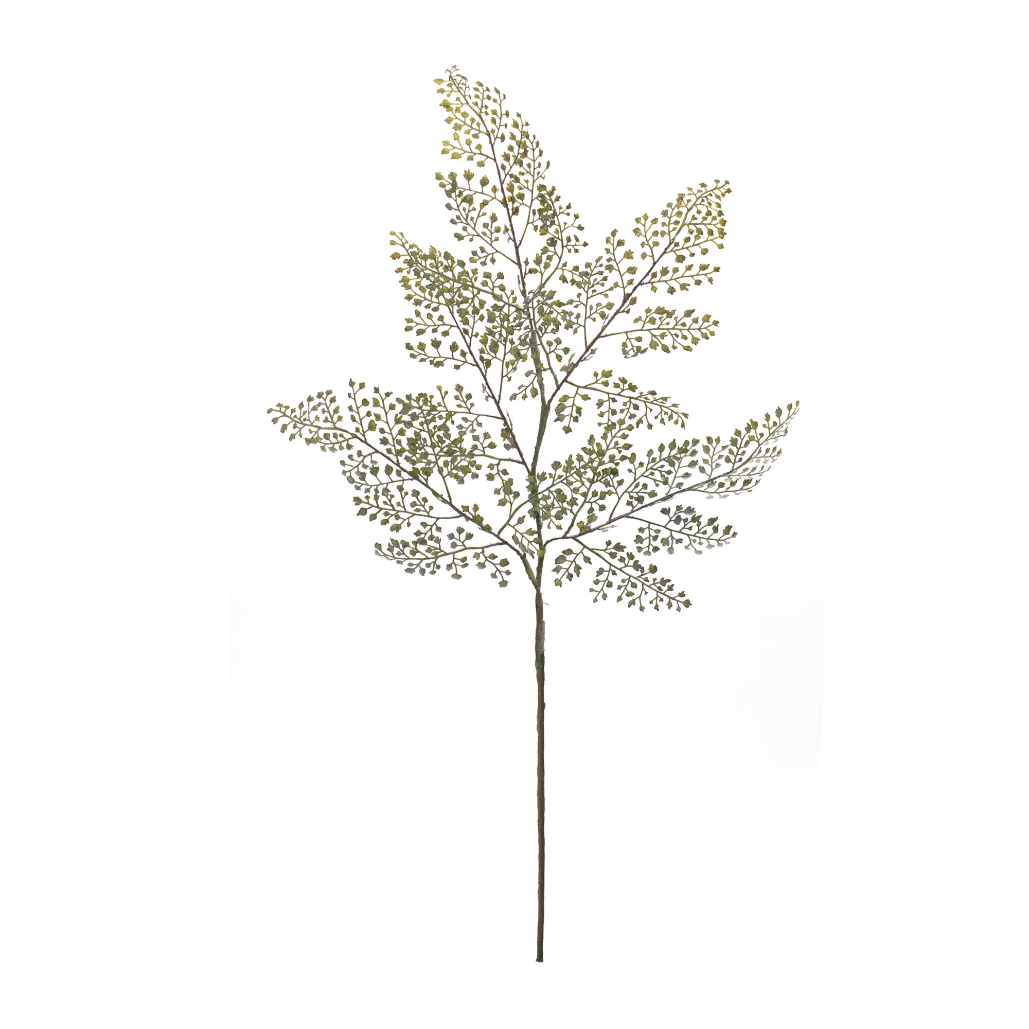 Maiden Hair Fern Spray - 30.5"