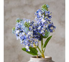 26" Purple Cone Hydrangea Stem