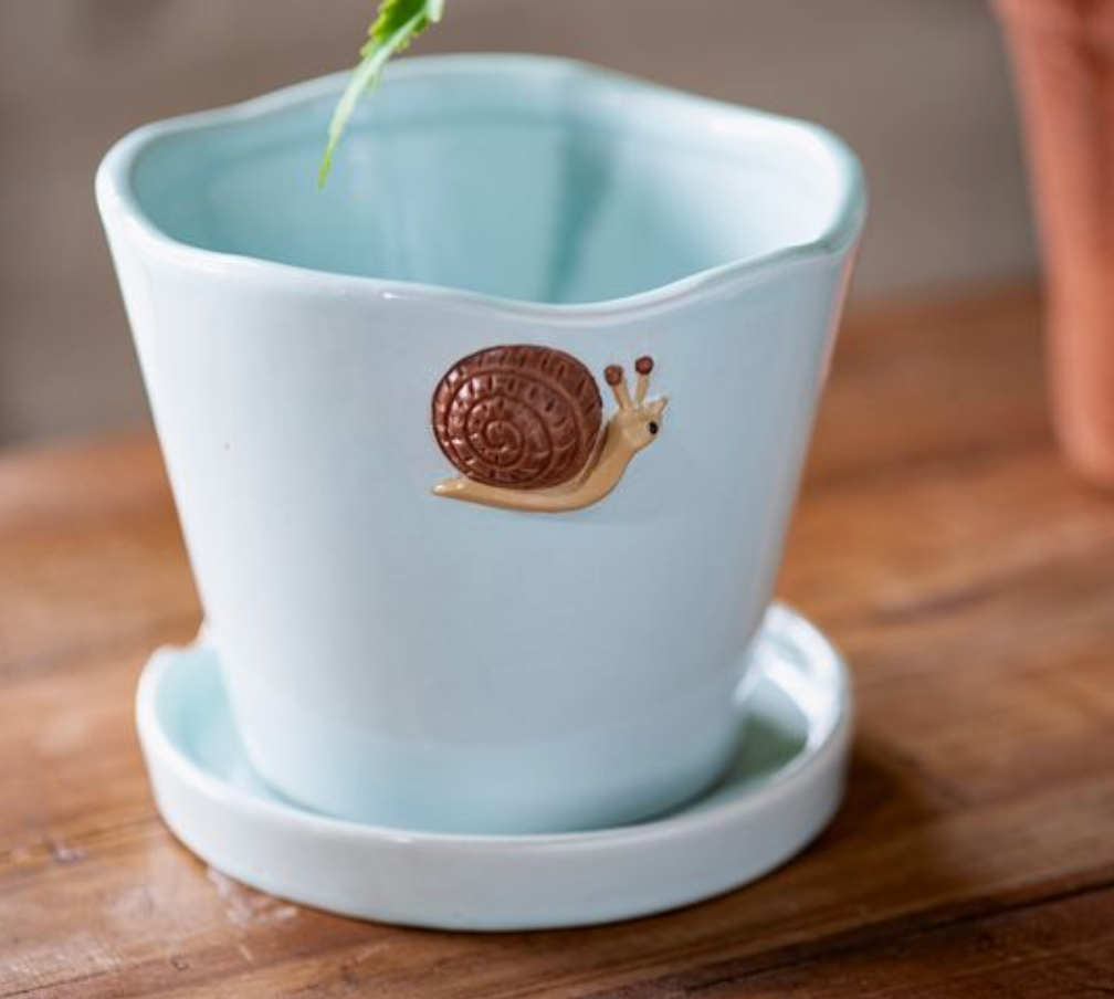 Aqua Snail Planter